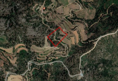 Odou, Larnaca Agricultural Land For Sale | C12179