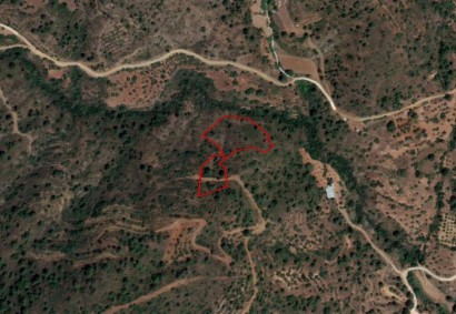 Melini, Larnaca Agricultural Land For Sale | C12181