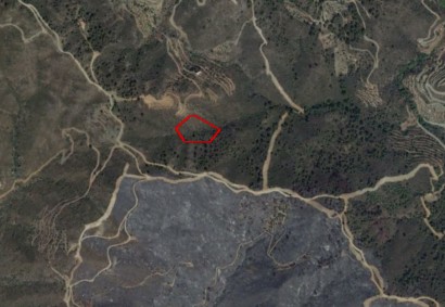 Agioi Vavatsinias Agricultural Land For Sale | C12182