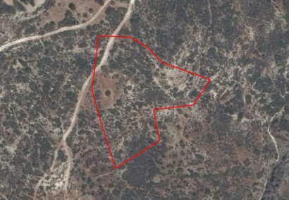 Ora, Larnaca Agricultural Land For Sale | C12190