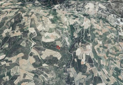 Vasa Koilaniou Agricultural Land For Sale | C12191