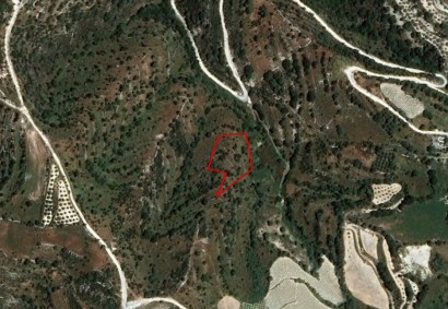 Dora, Limassol Agricultural Land For Sale | C12198