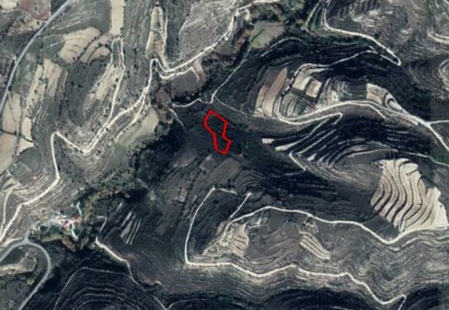 Potamiou, Limassol Agricultural Land For Sale | C12200