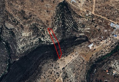Sotira Lemesou Agricultural Land For Sale | C12201