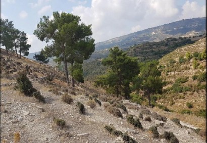 Agios Therapon Agricultural Land For Sale | C12206