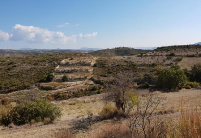Agios Therapon Agricultural Land For Sale | C12208