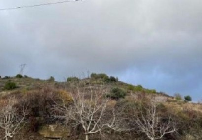 Pelendri, Limassol Agricultural Land For Sale | C12209