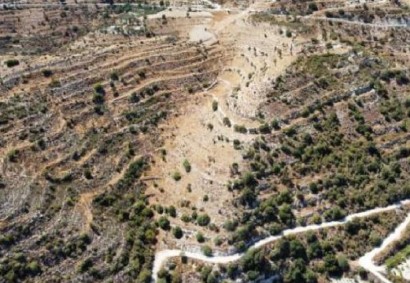 Agios Therapon Agricultural Land For Sale | C12212