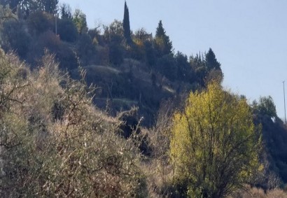 Agios Therapon, Limassol Residential Land For Sale | C12213