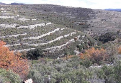 Koilani, Limassol Agricultural Land For Sale | C12217