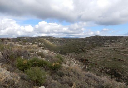 Vouni, Limassol Agricultural Land For Sale | C12222