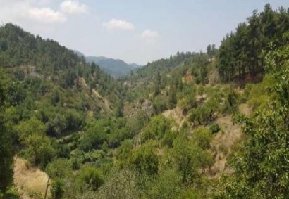 Pelendri, Limassol Agricultural Land For Sale | C12230