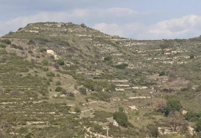 Pachna, Limassol Agricultural Land For Sale | C12232