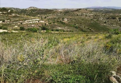 Pachna, Limassol Agricultural Land For Sale | C12236