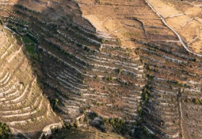 Vouni, Limassol Agricultural Land For Sale | C12237