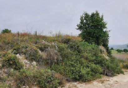 Pachna, Limassol Agricultural Land For Sale | C12238