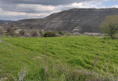 Pachna, Limassol Agricultural Land For Sale | C12240