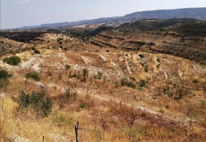 Vouni, Limassol Agricultural Land For Sale | C12241