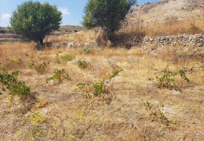 Pachna, Limassol Agricultural Land For Sale | C12243