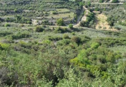 Pachna, Limassol Agricultural Land For Sale | C12244