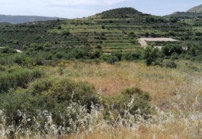 Pachna, Limassol Agricultural Land For Sale | C12245