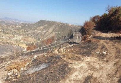 Pachna, Limassol Agricultural Land For Sale | C12249