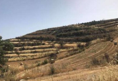 Vouni, Limassol Agricultural Land For Sale | C12250