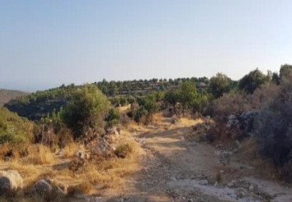 Pachna, Limassol Agricultural Land For Sale | C12253