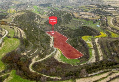 Pachna, Limassol Agricultural Land For Sale | C12254