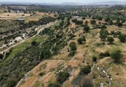 Pachna, Limassol Agricultural Land For Sale | C12256