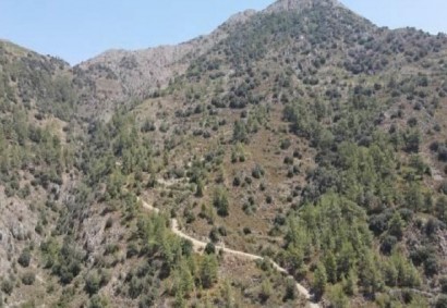 Sykopetra, Limassol Agricultural Land For Sale | C12257