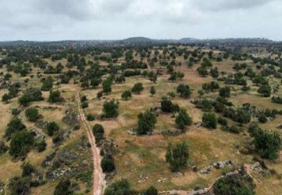 Pachna, Limassol Agricultural Land For Sale | C12259