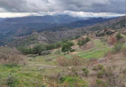 Sykopetra, Limassol Agricultural Land For Sale | C12260