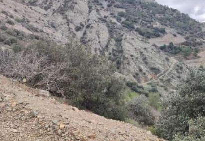 Sykopetra, Limassol Agricultural Land For Sale | C12264