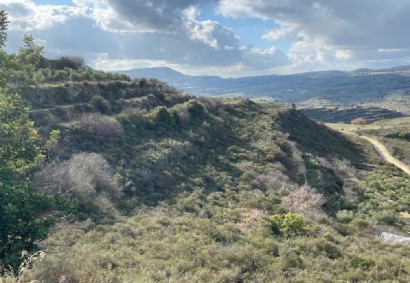 Pachna, Limassol Agricultural Land For Sale | C12268