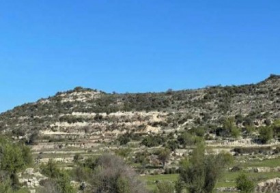 Pachna, Limassol Agricultural Land For Sale | C12269