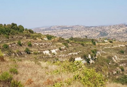 Pachna, Limassol Agricultural Land For Sale | C12270
