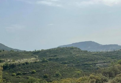 Pachna, Limassol Agricultural Land For Sale | C12271