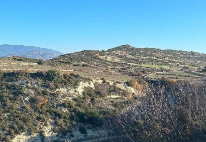 Pachna, Limassol Agricultural Land For Sale | C12274