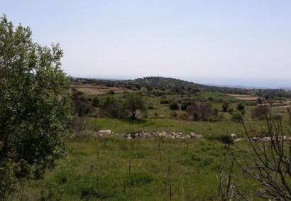 Pachna, Limassol Agricultural Land For Sale | C12275