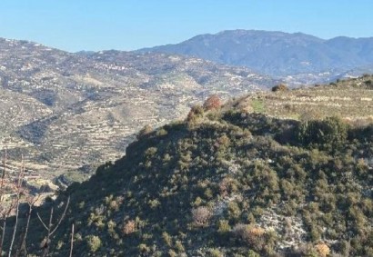 Pachna, Limassol Agricultural Land For Sale | C12276