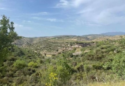 Pachna, Limassol Agricultural Land For Sale | C12277
