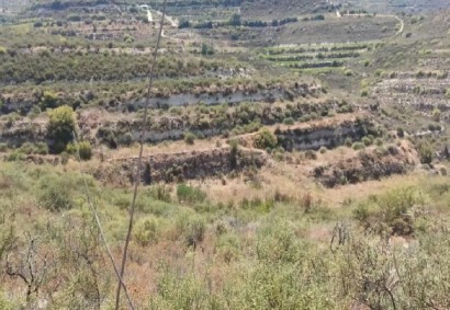 Pachna, Limassol Agricultural Land For Sale | C12278