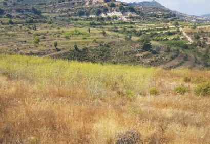 Pachna, Limassol Agricultural Land For Sale | C12279