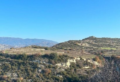 Pachna, Limassol Agricultural Land For Sale | C12280