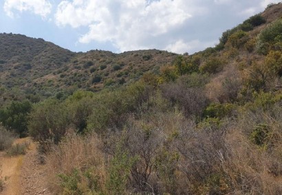 Vasa Kellakiou Agricultural Land For Sale | C12281