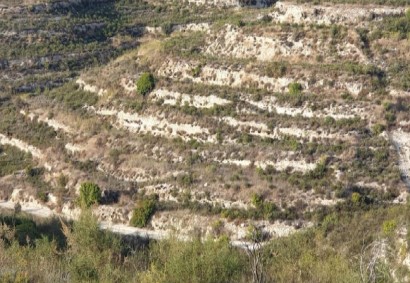 Pachna, Limassol Agricultural Land For Sale | C12283