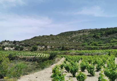 Pachna, Limassol Agricultural Land For Sale | C12284