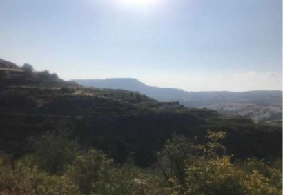 Pachna, Limassol Agricultural Land For Sale | C12285