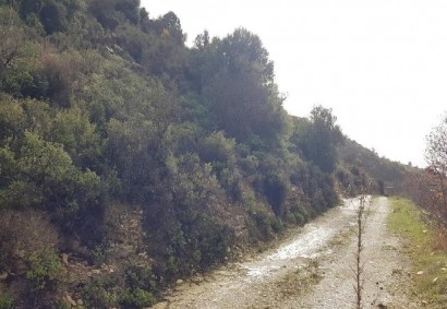 Pachna, Limassol Agricultural Land For Sale | C12286